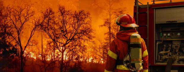 2025 los angeles wildfire 