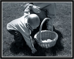 should franchisees put all their online marketing eggs in one basket