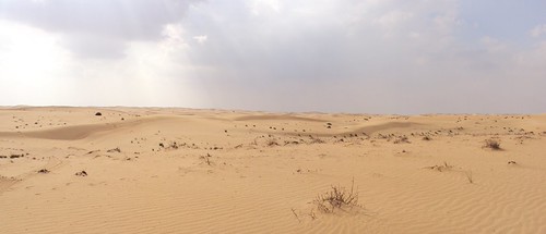 Desert Landscape