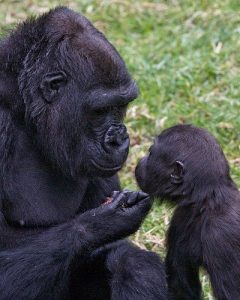 mother and child
