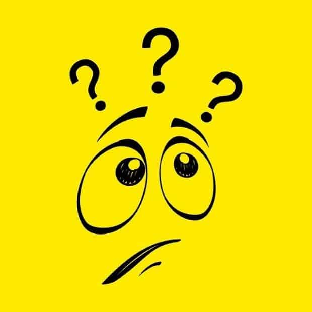 are you right for a franchise business?