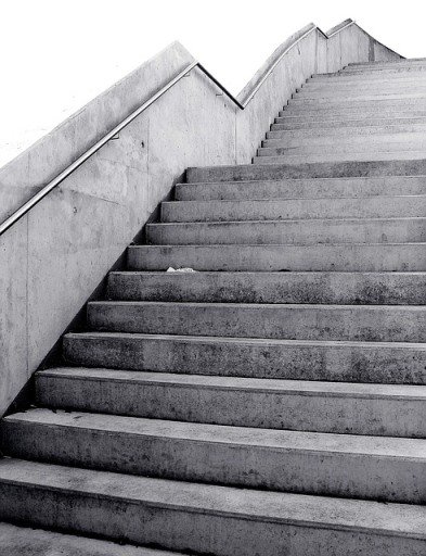 franchising's steps