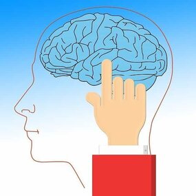 politicians in michigan have brains