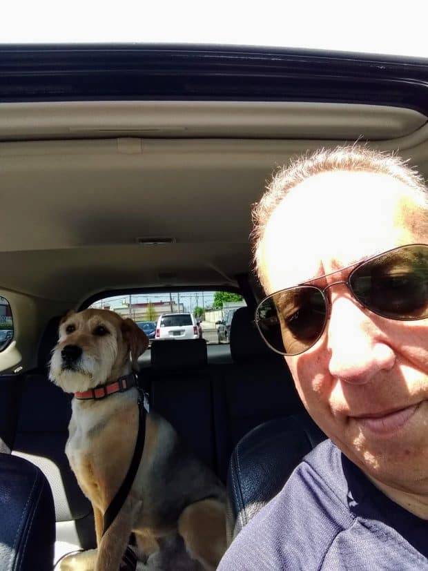 car ride with my dog
