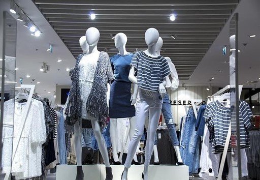 franchising introduction retail store