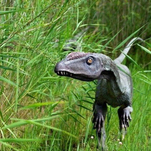 1-800-dinosaur franchise
