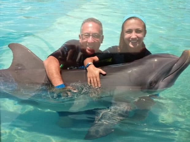 dolphin 