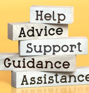 evaluate the franchise support system