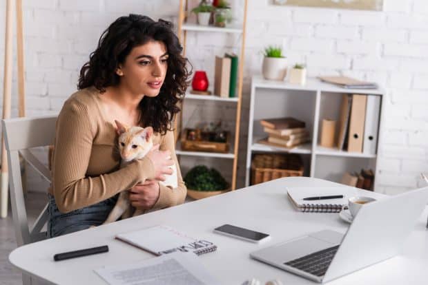 franchise buyer getting information