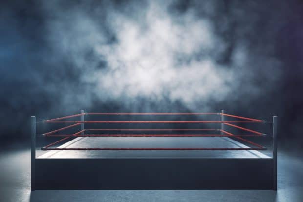 the franchise king vs responsible franchising 