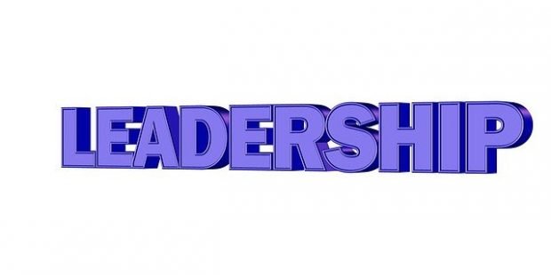 natuarl born business leader-709665_640