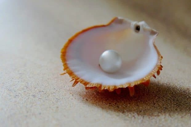 franchise pearl