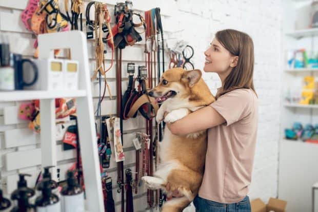A list of small business ideas: own a pet supplies business