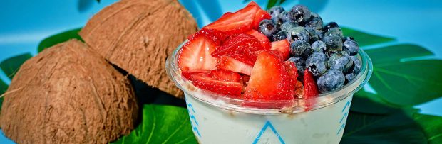 image of food served at playa bowls franchise locations