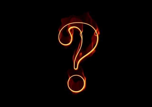 best franchise questions to ask
