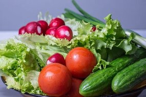 food franchises franchise direct
