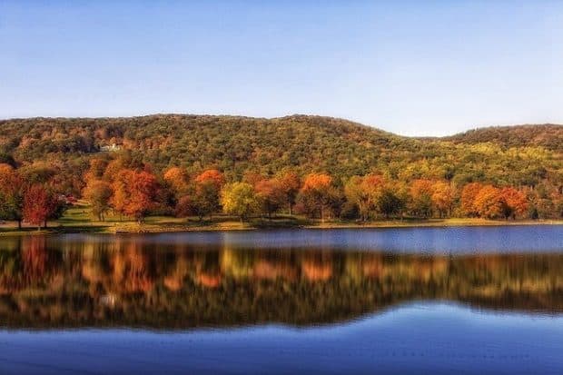autumn