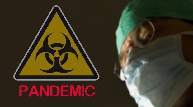 the 2020 pandemic