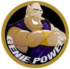 window genie franchise