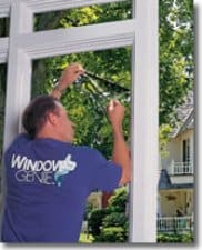 window film