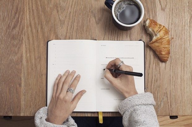 write down your franchise income goals