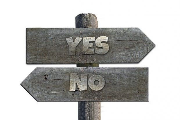 is it yes or no on the franchise you want to buy?