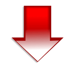 continue reading about owning a franchise business