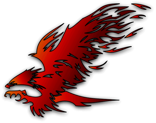 a hawk