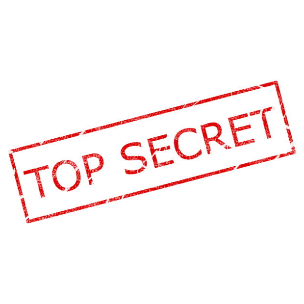 secrets of franchising consultants