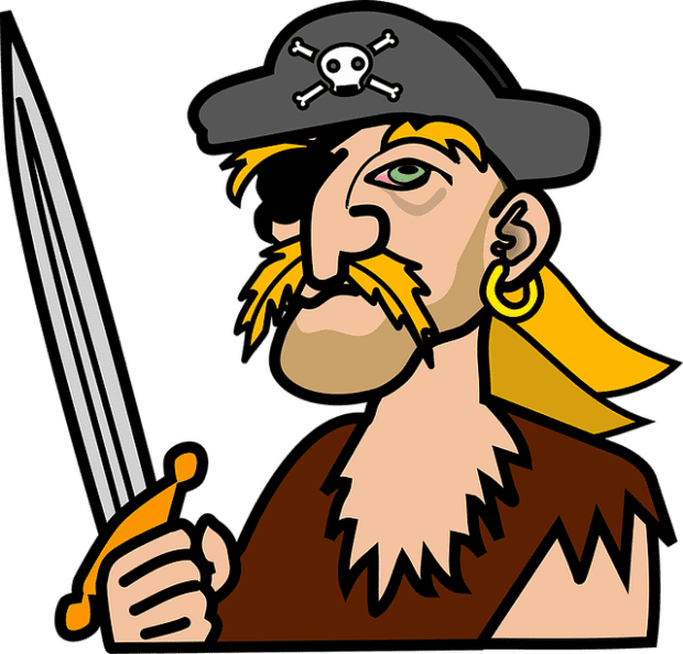 junk pirates franchises